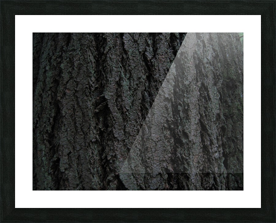 Bark 01 Picture Frame print