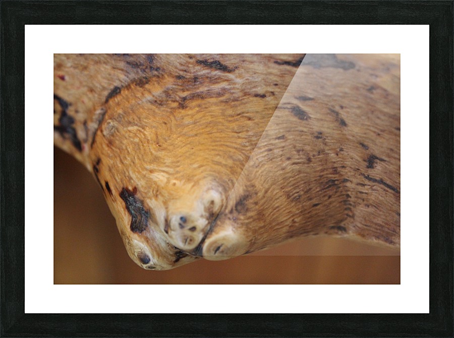 IMG_1494 Picture Frame print