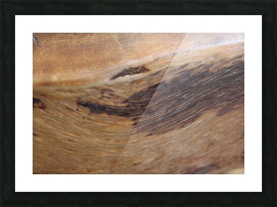 IMG_1496 Picture Frame print