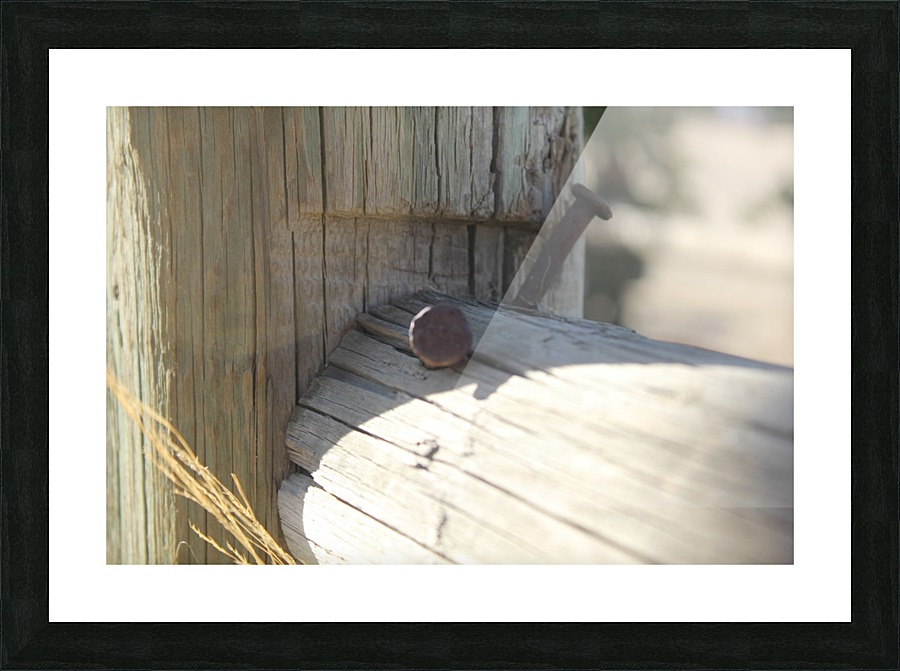 IMG_2133 Picture Frame print
