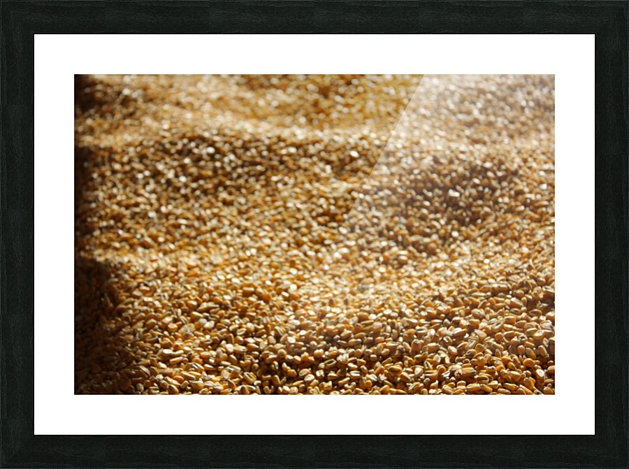 IMG_2076 Picture Frame print