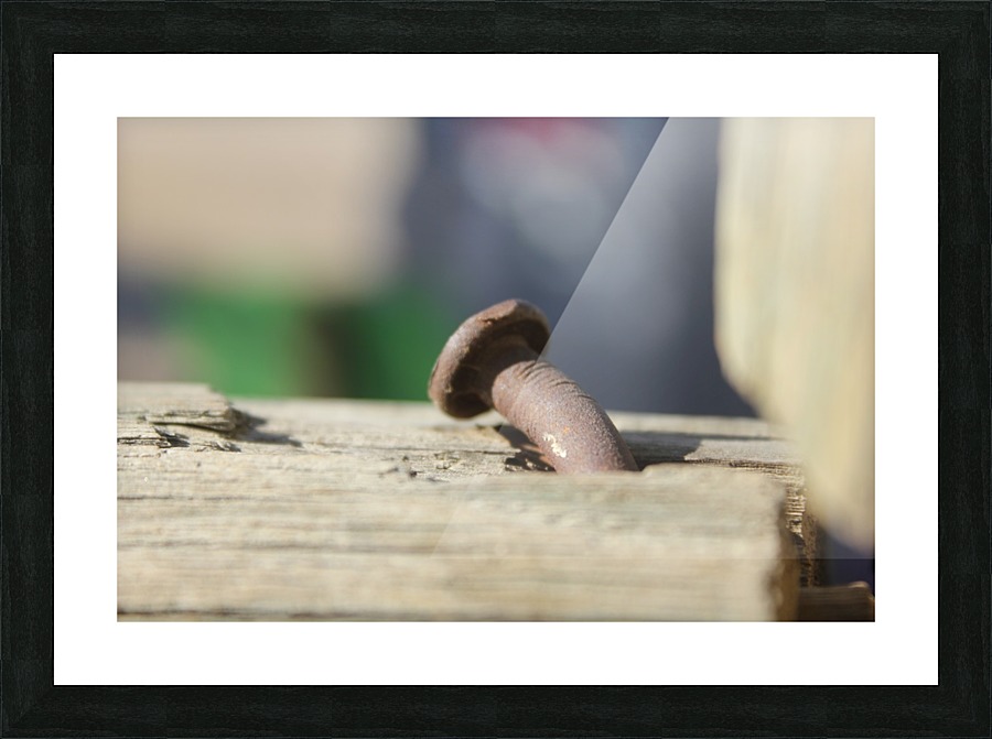 IMG_2137 Picture Frame print