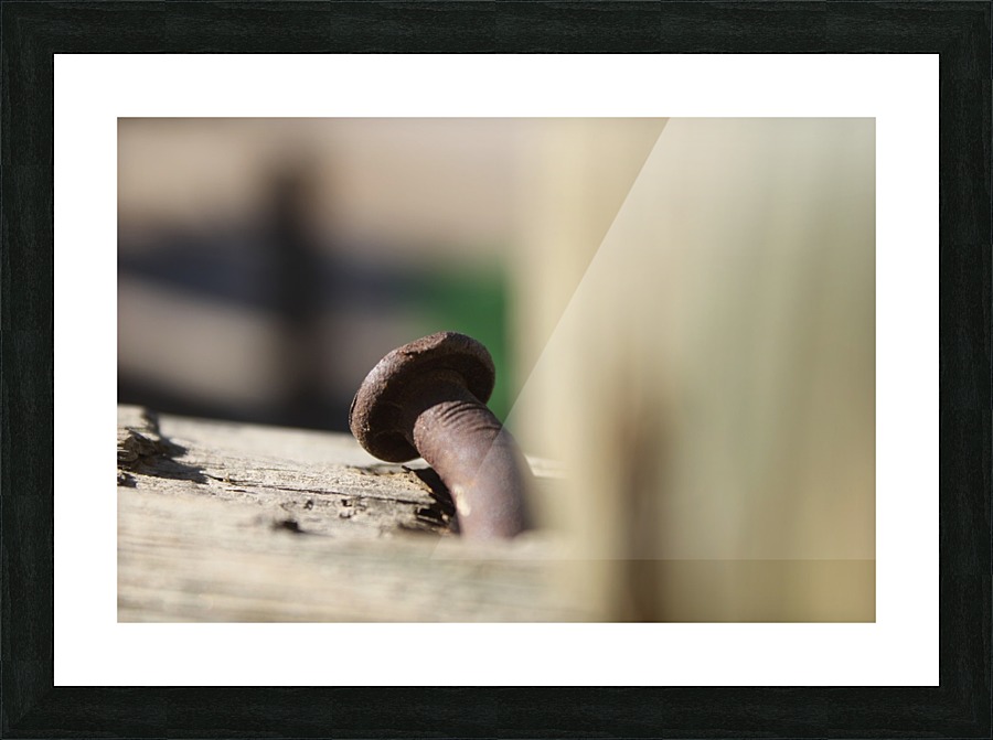 IMG_2136 Picture Frame print