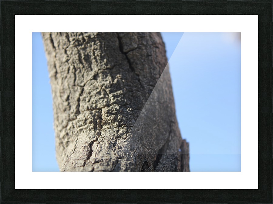 IMG_2132 Picture Frame print
