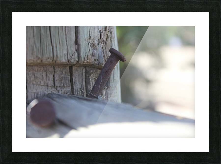 IMG_2134 Picture Frame print