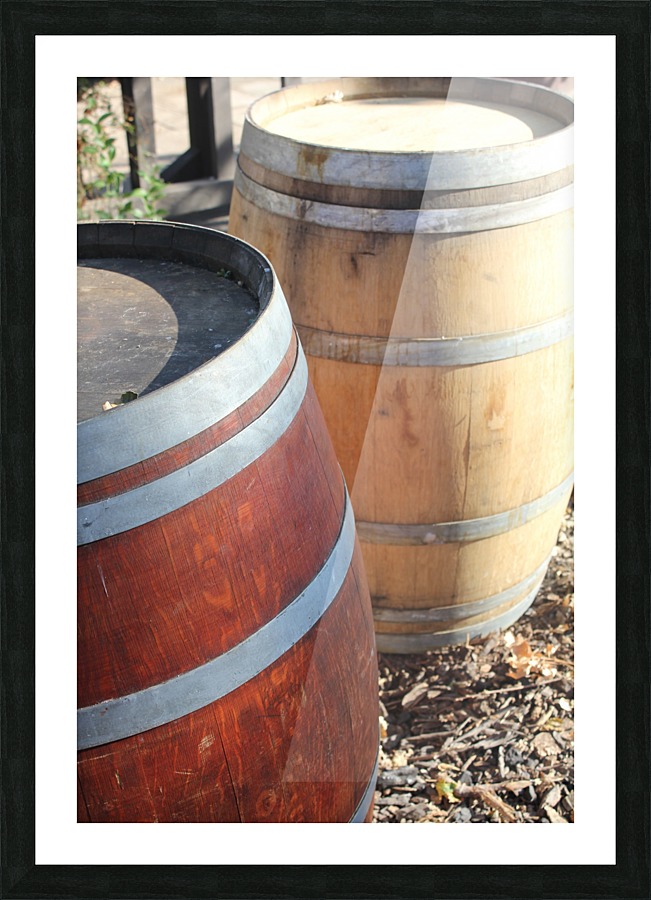Wine Barrels 01 Picture Frame print