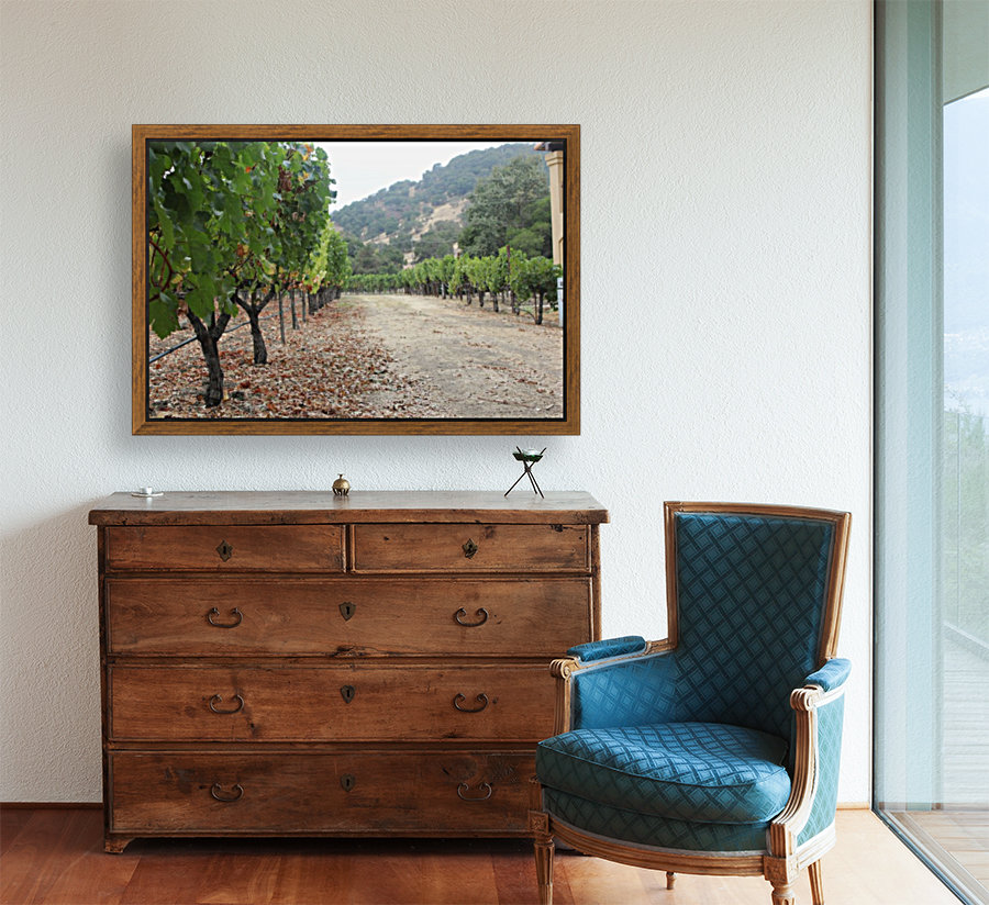 Vineyard Road Reproduction