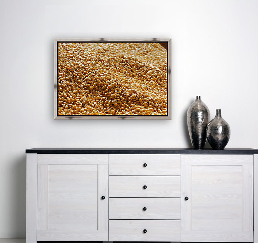Dried Corn 03 Reproduction