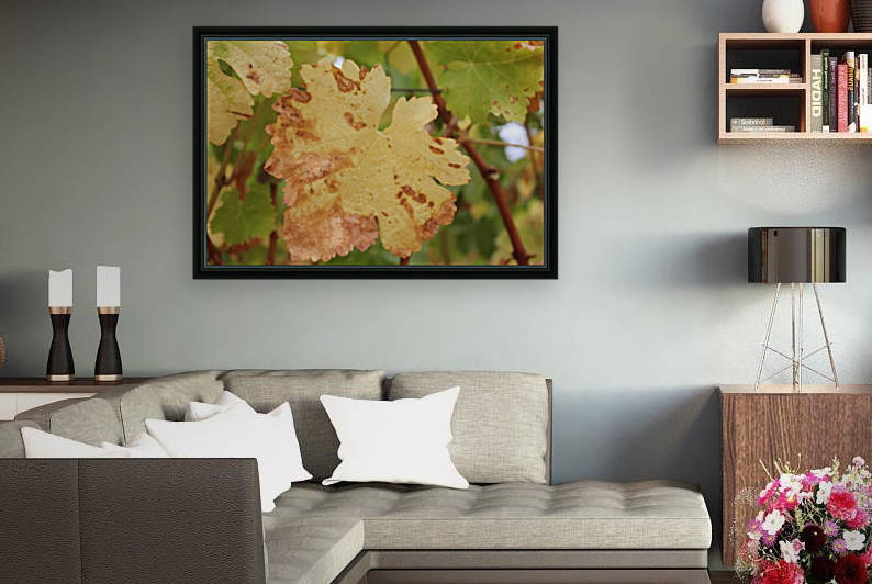 Grape Leaf 02 by Chris Roberts Design