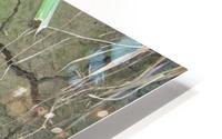 Cracked Mud HD Metal print