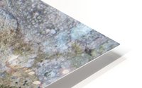 Bark 02 HD Metal print