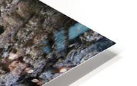 IMG_1023 HD Metal print