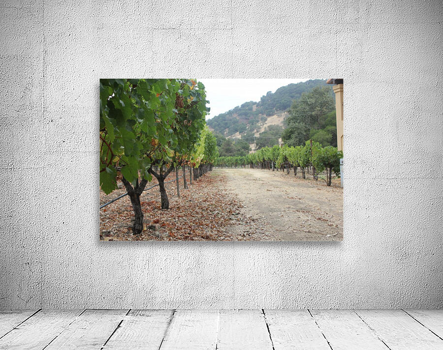 Vineyard Road Wall Preview