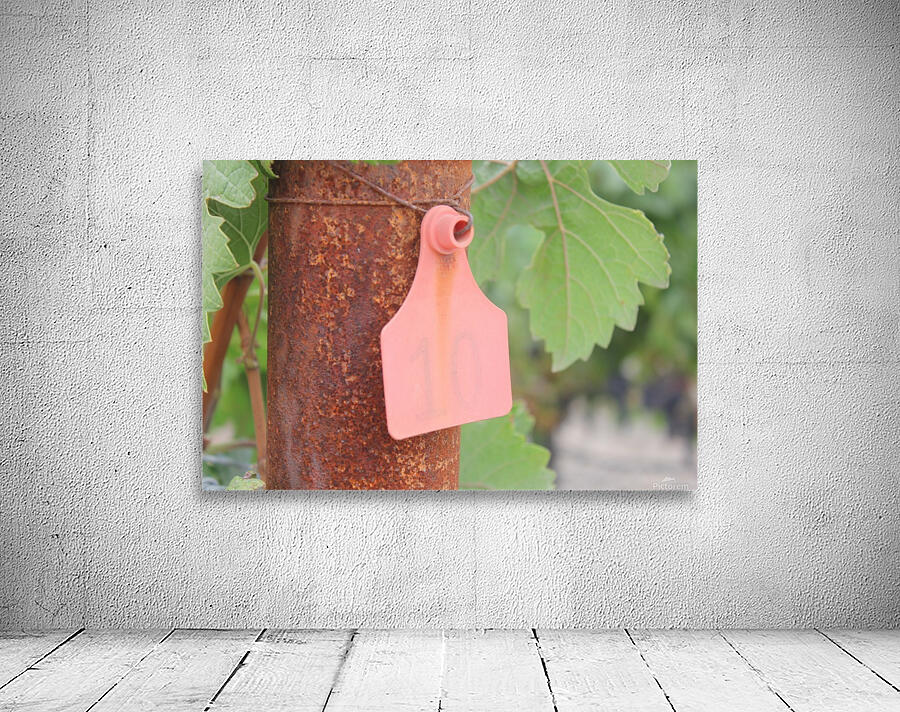 Vineyard Tag Wall Preview