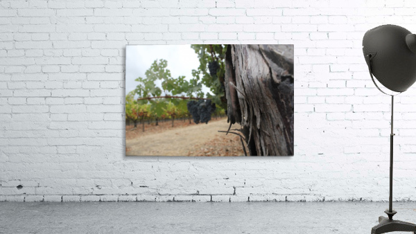 Vineyard Fence Post Wall Preview