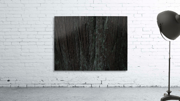 Bark With Lichen 03 Wall Preview