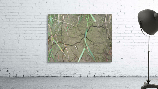 Cracked Mud Wall Preview