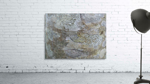 Bark 02 Wall Preview