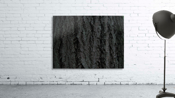 Bark 01 Wall Preview