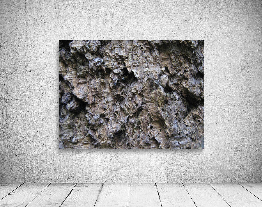 IMG_1023 Wall Preview