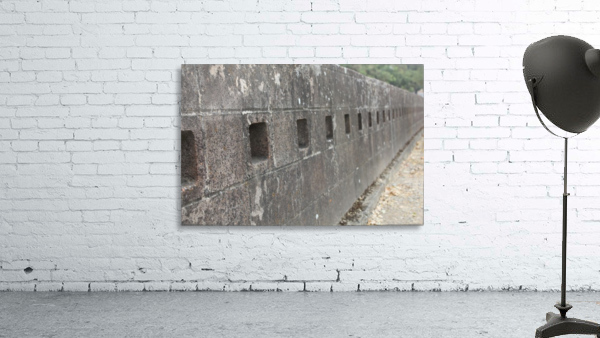 IMG_1731 Wall Preview