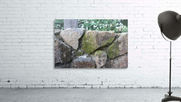 IMG_1963 Wall Preview