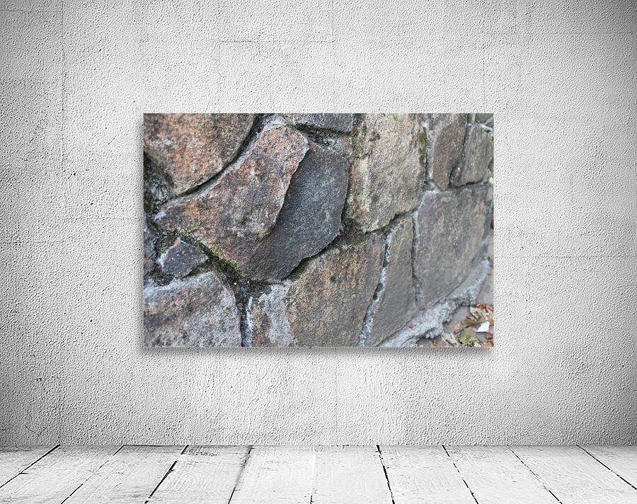 IMG_1969 Wall Preview