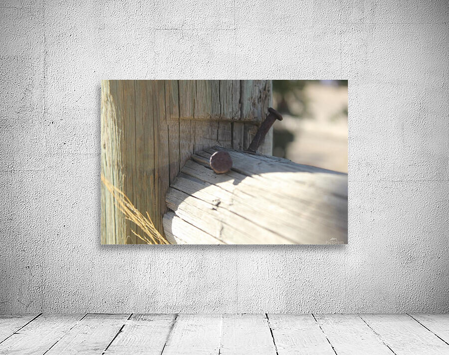 IMG_2133 Wall Preview