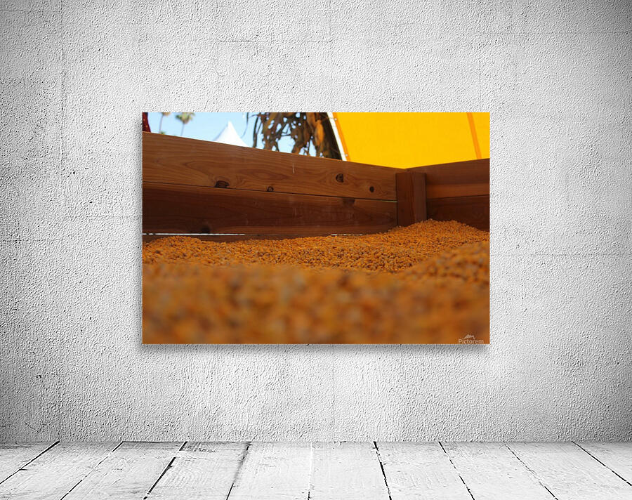 Dried Corn 02 Wall Preview