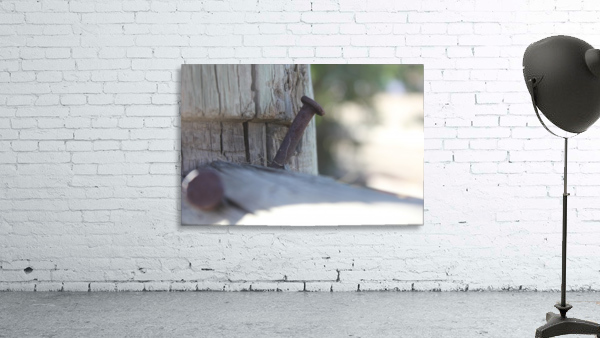IMG_2134 Wall Preview