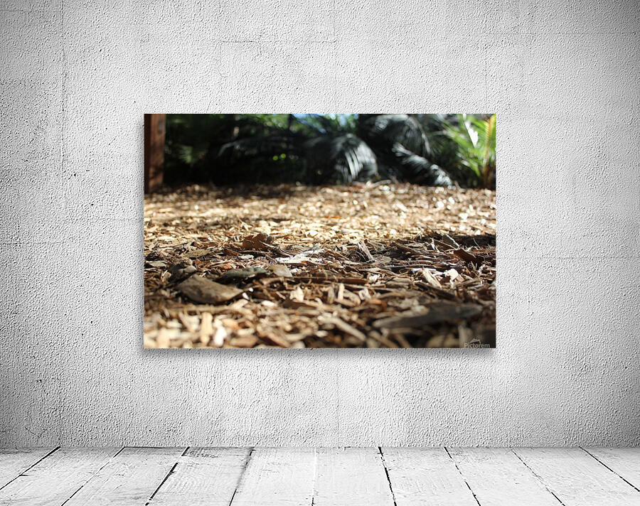 IMG_3287 Wall Preview