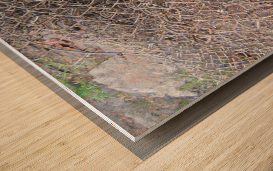 Rusted Chain Link 01 Wood print