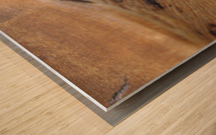 IMG_1496 Wood print