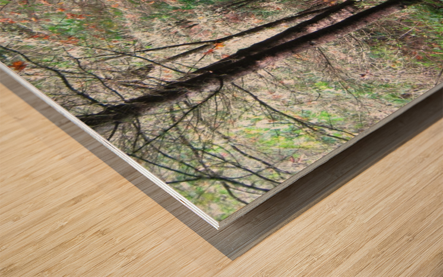 IMG_0853 Wood print
