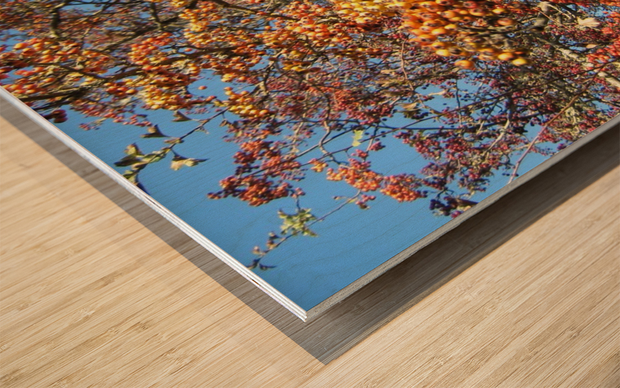 IMG_0054 Wood print
