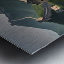 Sunflower flower Metal print