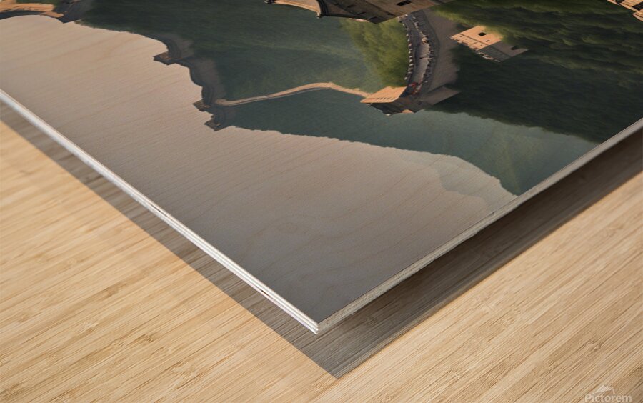 Sunflower flower Wood print