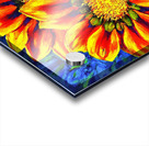 Radiant Duo Acrylic print