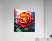 Crimson Rhapsody Acrylic Print