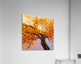 Golden Blossoms Acrylic Print