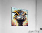 Emu Enigma Acrylic Print