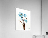 Tranquil Blossoms Acrylic Print
