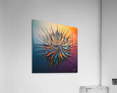 Cosmic Bloom  Acrylic Print