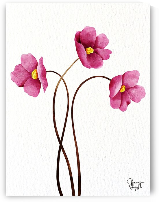 Delicate Dance by Veronica Stegall