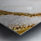 Golden Sands Metal print