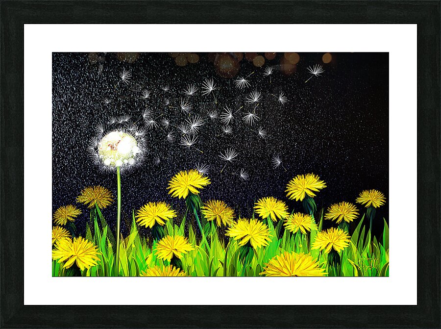 Dandelion Dreams Picture Frame print