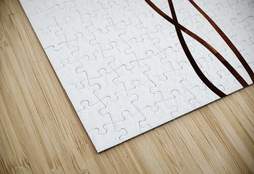 Delicate Dance Veronica Stegall puzzle