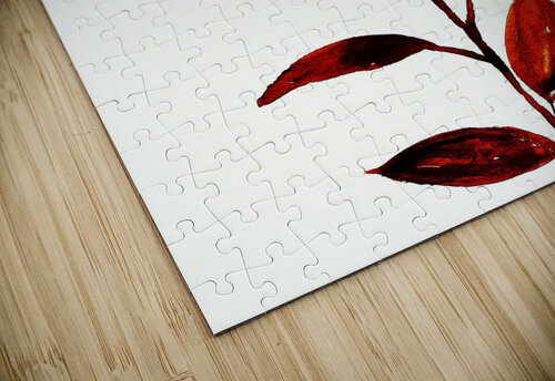 Ember s Kiss Veronica Stegall puzzle