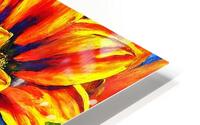 Radiant Duo HD Metal print
