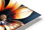 Golden Hour Bloom HD Metal print